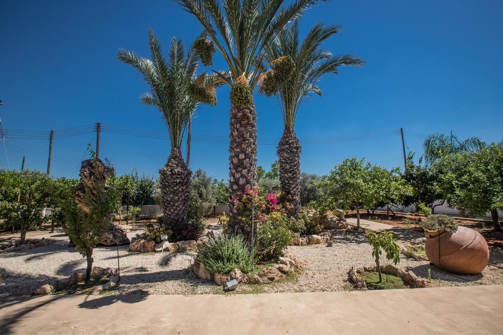 Papas Family Villa باراليمني المظهر الخارجي الصورة